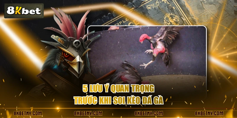 5 lưu ý quan trọng trước khi soi kèo đá gà