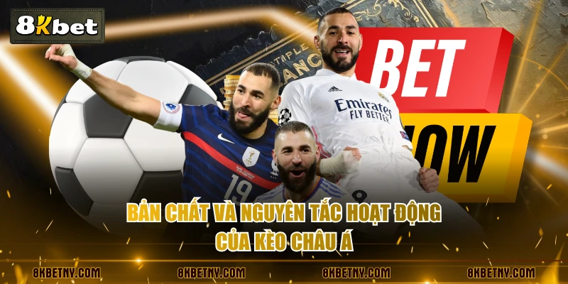 Bản chất và nguyên tắc hoạt động của kèo châu Á