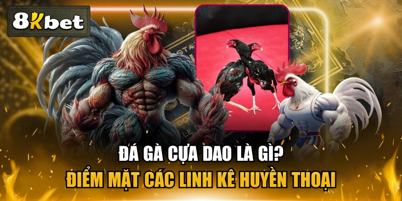 Đá Gà Cựa Dao Là Gì? Điểm Mặt Các Linh Kê Huyền Thoại