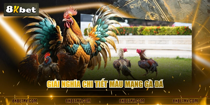 Giải nghĩa chi tiết màu mạng gà đá