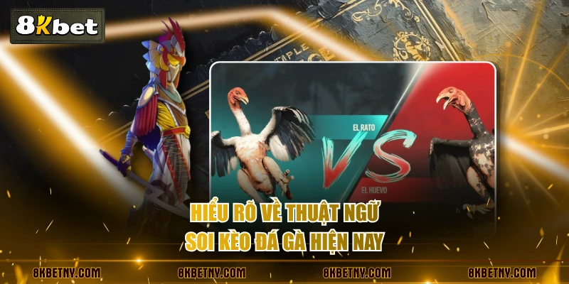 Hiểu rõ về thuật ngữ soi kèo đá gà hiện nay