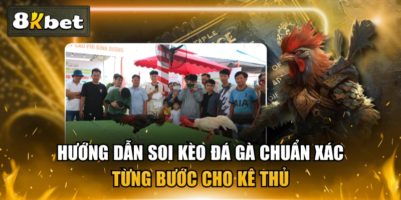 Hướng Dẫn Soi Kèo Đá Gà Chuẩn Xác Từng Bước Cho Kê Thủ