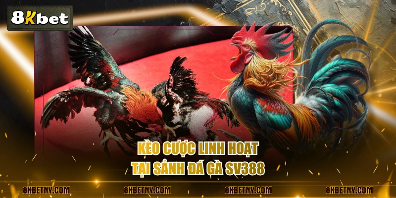 Kèo cược linh hoạt tại sảnh đá gà SV388