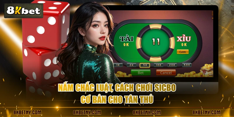 Nắm chắc luật, cách chơi Sicbo cơ bản cho tân thủ